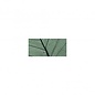 Willowblad, geadert, ZB-zak à 8 st., 6 - 10 cm, d.groen