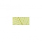 Willowblad, geadert, ZB-zak à 8 st., 6 - 10 cm, l.groen