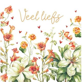 Wenskaart - Veel liefs - 120x122mm