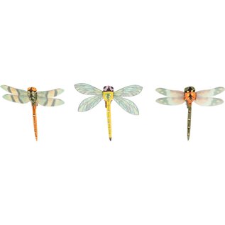 6 LIBELLEN OP CLIP 6,5X6,5X1,5 CM