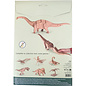 3D houten model - DIPLODOCUS