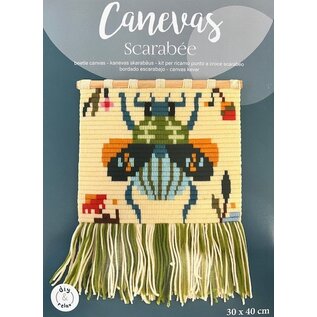 Canvas kever 30x40cm