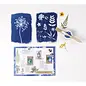 CYANOTYPE KIT - Creatieve doos