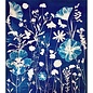 CYANOTYPE KIT - Creatieve doos