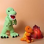Boek Dino's haken