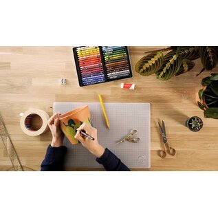 PROMO -  d’Ache 40 Pastels NEOCOLOR™ II