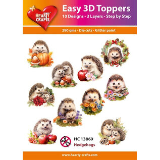 Easy 3D Designs pakket Hedgehogs