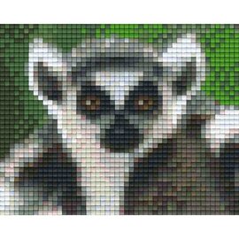 Pixelpakket - Ringstaartmaki