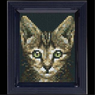 Pixelpakket - Kat