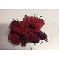 IJSLANDS MOS GECONSERVEERD BORDEAUX +/-450GR