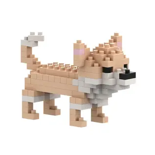 Brixies Chihuahua (100st.)