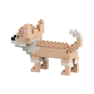 Brixies Chihuahua (100st.)