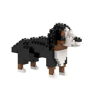 Brixies St Bernhard (113st.)