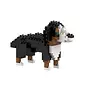Brixies St Bernhard (113st.)