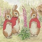 Crystal Card Kit ® The Flopsy Bunnies 18x18cm