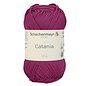 Catania 0251 magenta bad 23593078