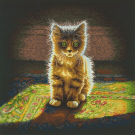 Kruissteekpakket - Katje 40x40cm