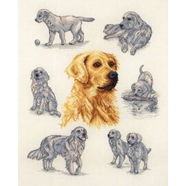 Kruissteekpakket - GOLDEN RETRIEVER STUDY