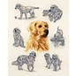 Kruissteekpakket - GOLDEN RETRIEVER STUDY