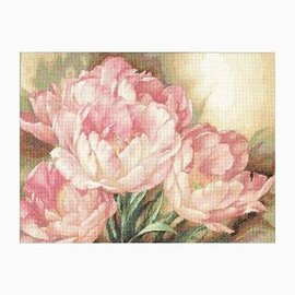 Kruissteekpakket - Tulip Trio 41x30cm