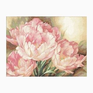 PROMO - Kruissteekpakket - Tulip Trio 41x30cm