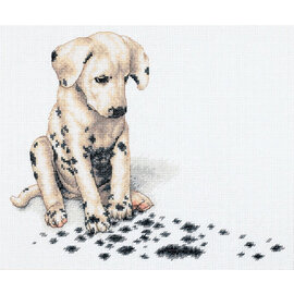 PROMO - Telpakket Dimensions 30x25cm