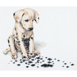 PROMO - Telpakket Dimensions 30x25cm
