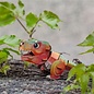 Mieredu - 3D Puzzel Build And Sound - Tyrannosaurus Rex