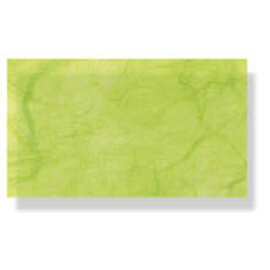 Mulberry Papier 86 kiwigroen 64x94cm - PER VEL