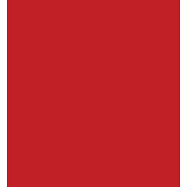Vilt 20x30 cm, 1mm, Rood, 5 vellen