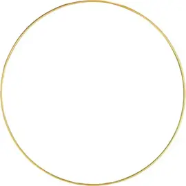 FRAME - METALEN RING 30CM GOUD
