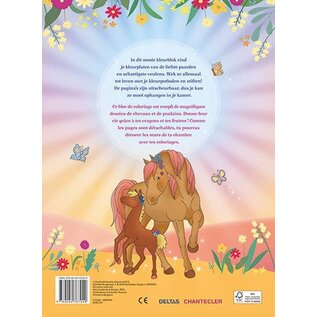 Ik hou van paarden kleurblok / J'aime les chevaux bloc de coloriage