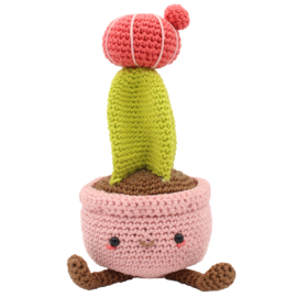 Haakpakket - Maancactus