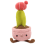 Haakpakket - Maancactus