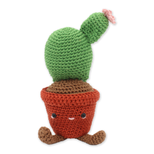 Haakpakket - Schijfcactus