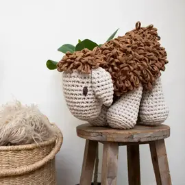 DIY Haakpakket Schaap Robby
