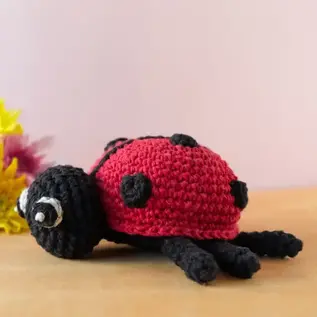 DIY Haakpakket Lieveheersbeestje