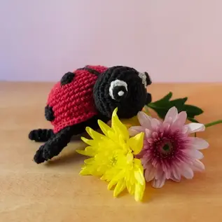 DIY Haakpakket Lieveheersbeestje