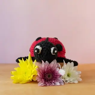DIY Haakpakket Lieveheersbeestje