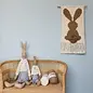 DIY Macramé Pakket Wandhanger Konijn