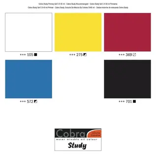 Cobra - Study Olieverf Primaire Set 5 x 40 ml