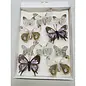 VLINDERS NATUUR 6ST 8CM + 4ST 5CM MET CLIP