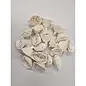 SHOLA ROSE 6CM 20ST