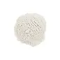 Mica kleurpigmentpoeder parelmoer wit 5gr