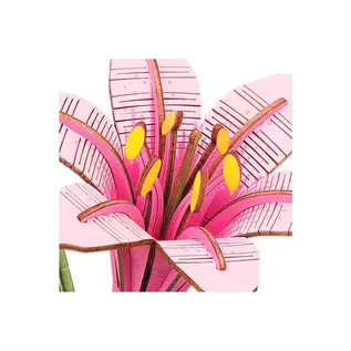 DIY Houten Bloem Pink Lily, Roze Lelie, Robotime,