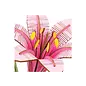 DIY Houten Bloem Pink Lily, Roze Lelie, Robotime,