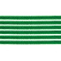 Pijpenragers-chenilledraad grasgroen 50cm, 10st