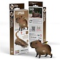 EUGY 3D - Capibara