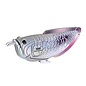 EUGY 3D - Zilveren Arowana
