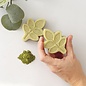 Zeep Maken Set Moringa